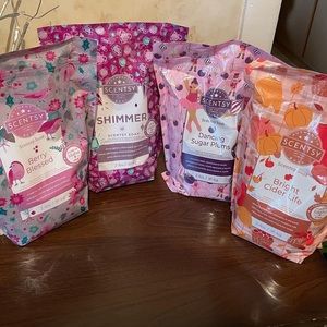 New Scentsy Soak